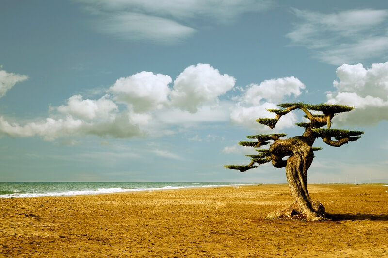 Awesome Image)